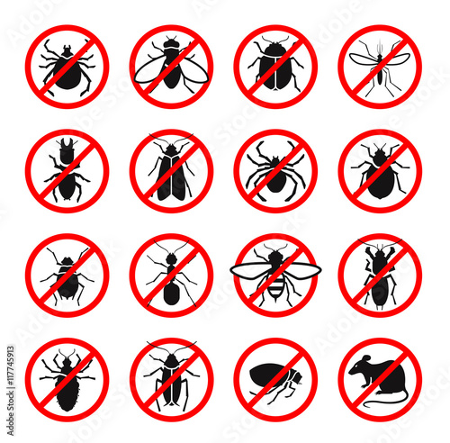 Pest control. Harmful insects and rodents set icons. Vector illustration