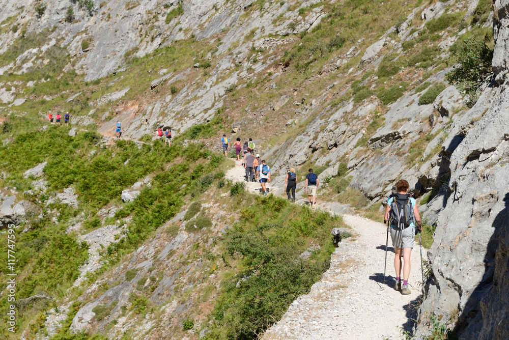 tourists are on a mountain path