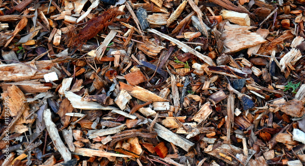 Bark leaves and wood chippings mulch as an abstract coarse background texture Bark leaves and wood chippings mulch as an abstract coarse background texture
