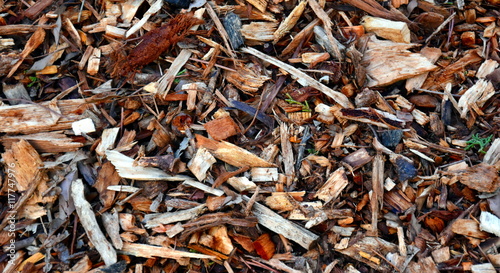 Cuadro en lienzo Bark leaves and wood chippings mulch as an abstract coarse background texture