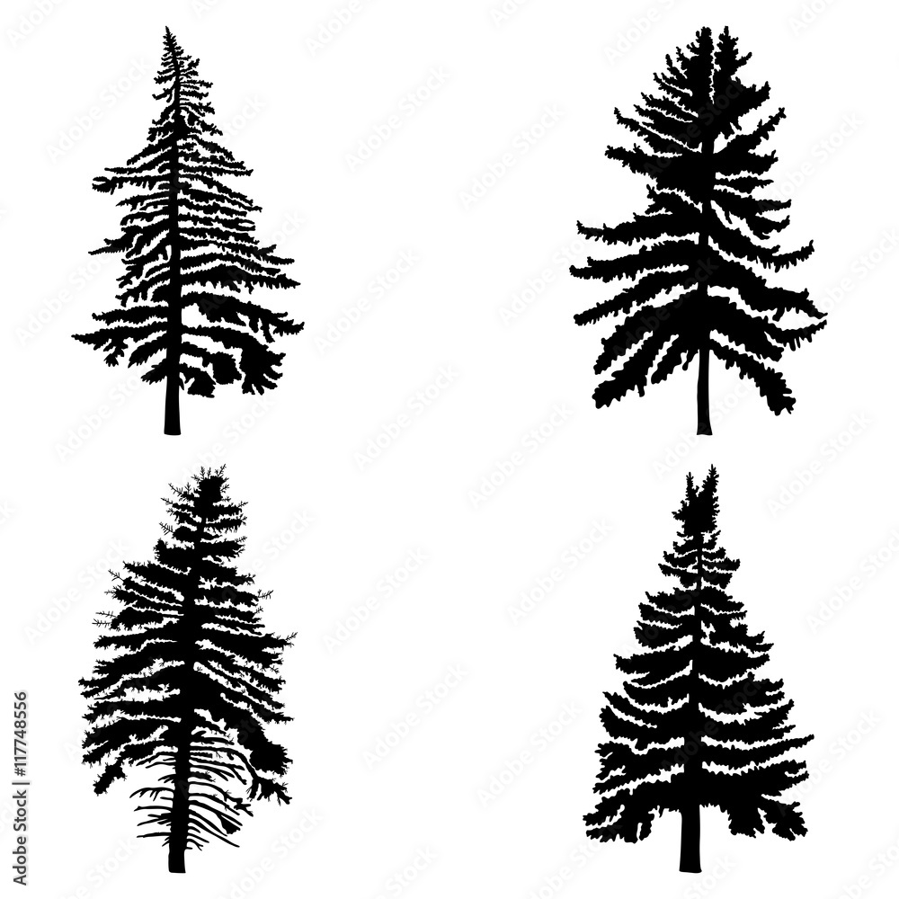 Fototapeta premium Fir trees set isolated on white background illustration. Collection of black coniferous trees silhouettes. Hand drawing. 
