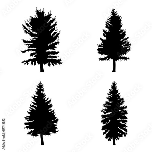 Fir trees set isolated on white background illustration. Collection of black coniferous trees silhouettes. Hand drawing. 