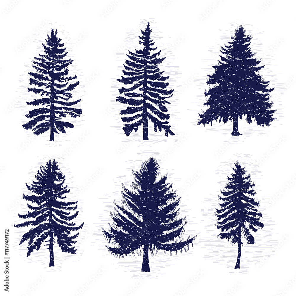 Fototapeta premium Vector set with pine trees isolated on white background, silhouettes of various woods and fir trees for your design, isolated.