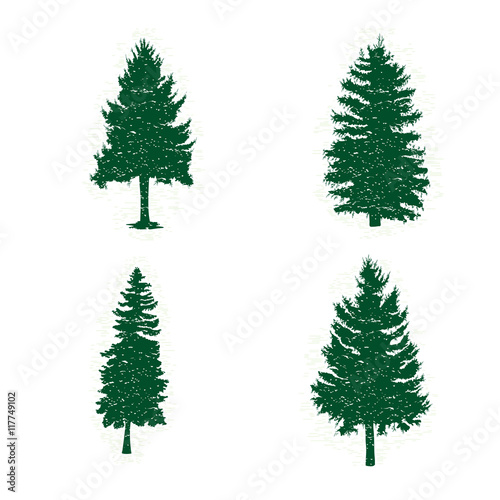 Set of different silhouettes of green pine trees  vector illustration. Collection of vintage textured grunge fir trees design template. Vector illustration.