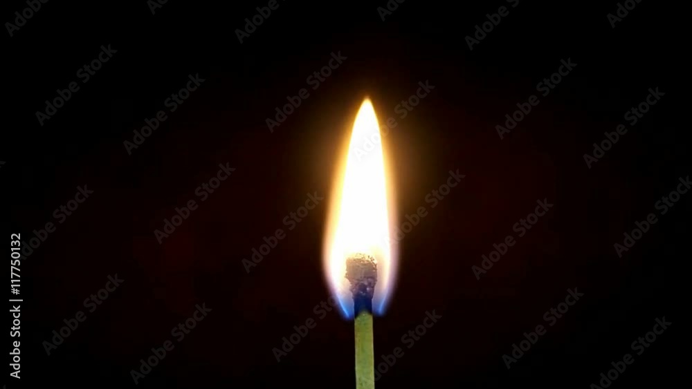 Closeup of match set on fire and burning until the frame put out itself isolated on black background Closeup of match set on fire and burning until the frame put out itself isolated on black background