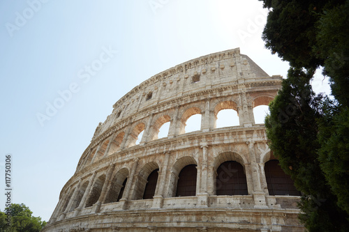 Rome Italy - Coliseum
