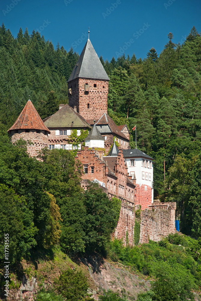 Burg Schloss Zwingenberg am Neckar im Odenwald, Baden