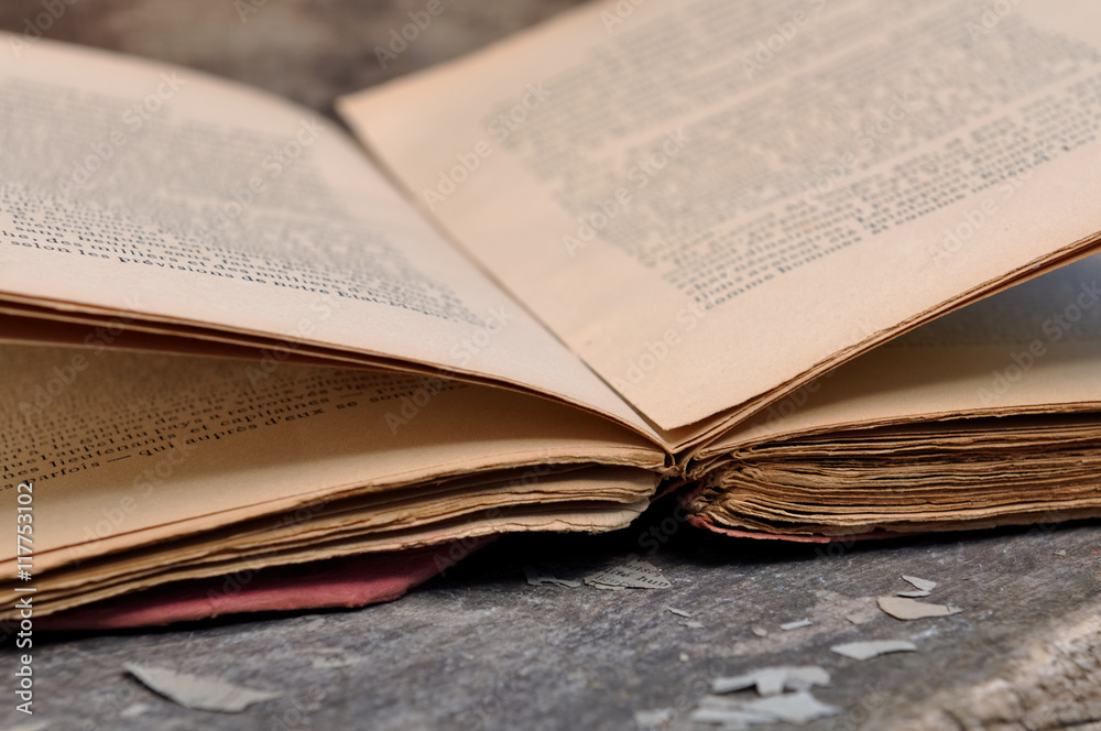 Obraz premium vieux livre ouvert sur fond bois 