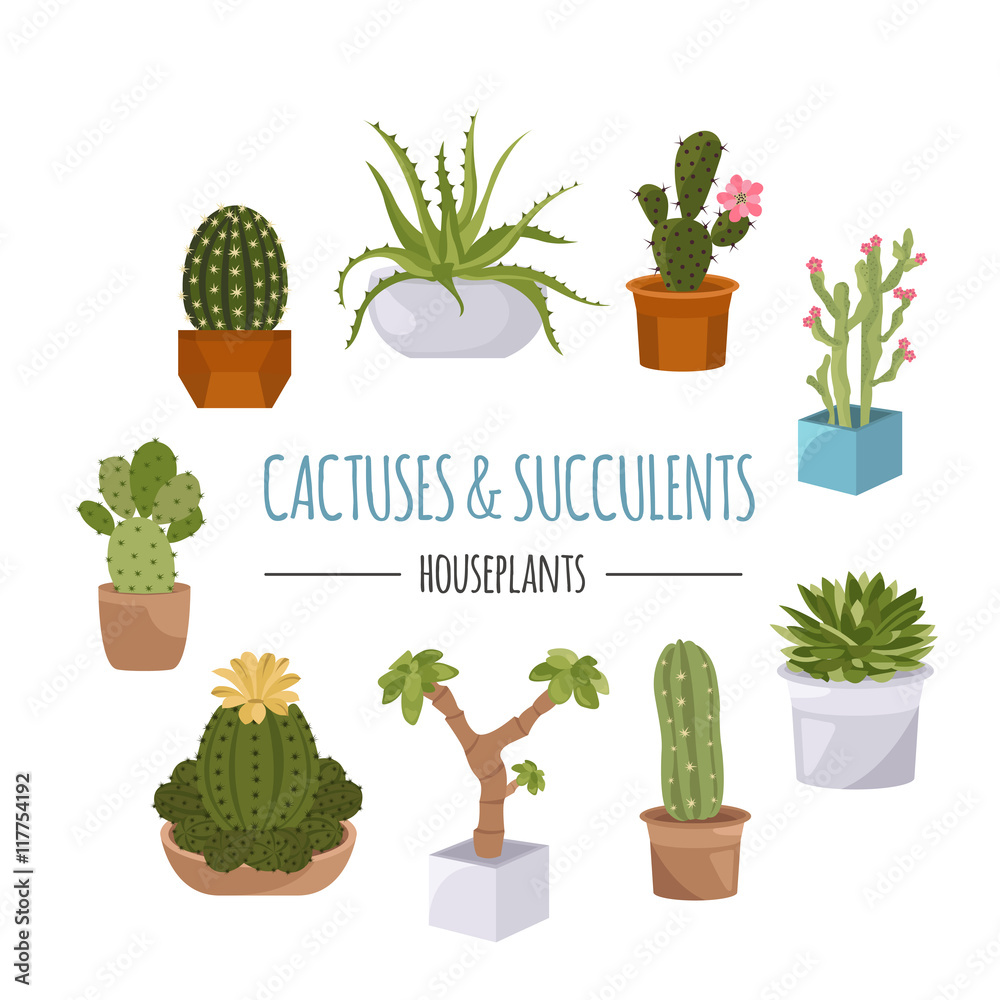 Cactuses and succulents icon set. Houseplants Cactuses and succulents icon set. Houseplants