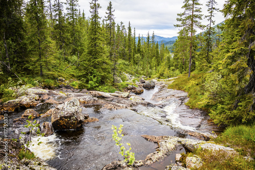 Creek in beautiful mountains and woodlands in Norway photo