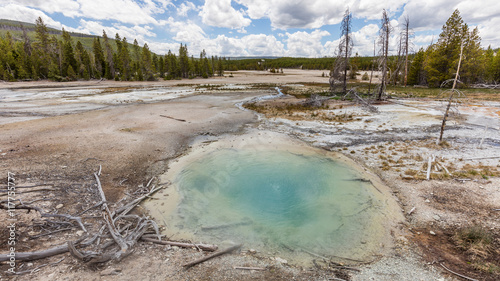 Amazing landscape of blue geyser, green forest and blue sky. Back Basin of Norris Geyser Basin. Yellowstone National Park, Wyoming