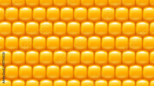 corn background 04 try