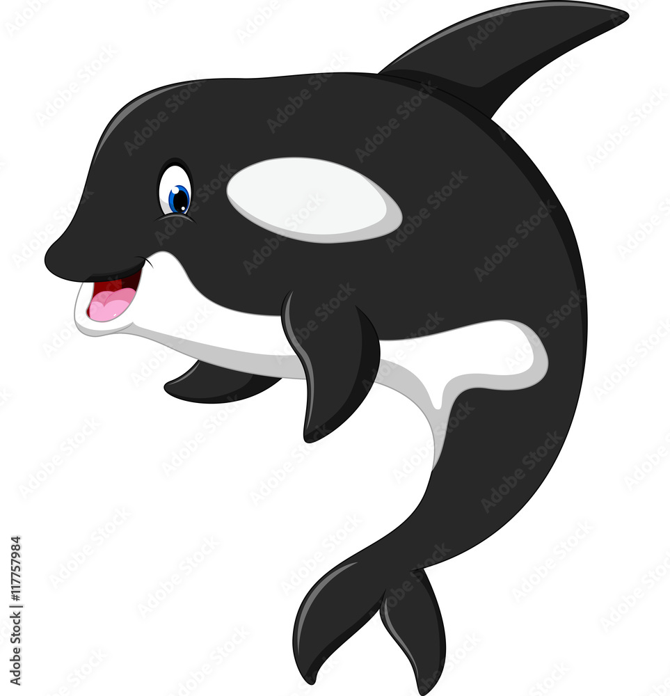 Fototapeta premium Cute killer whale cartoon