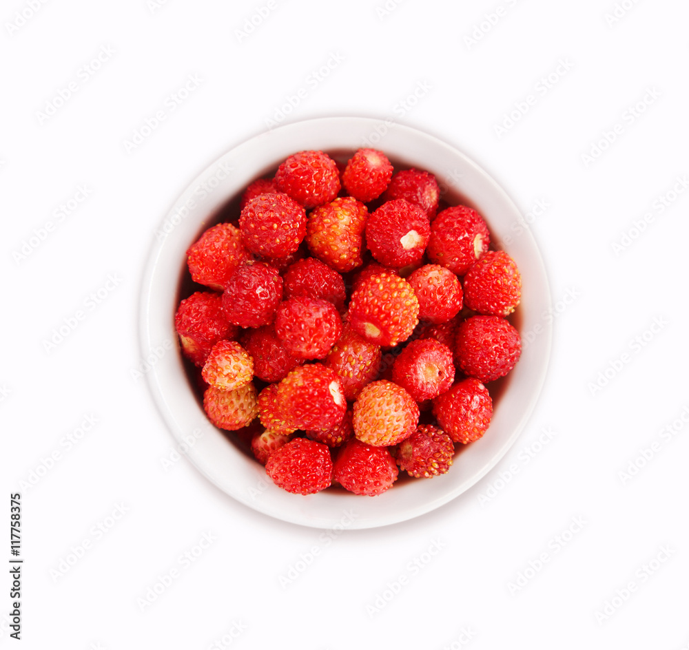 Wild strawberry Wild strawberry