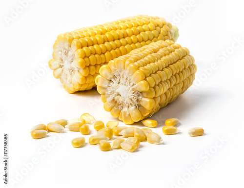 Corn on the cob kernels photo