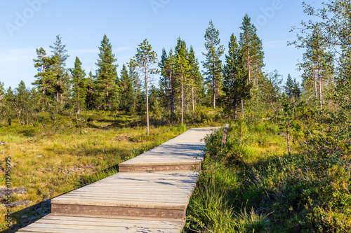 Boardwalk in Urho Kekkonen National Park in Finland. It is one of the  photo