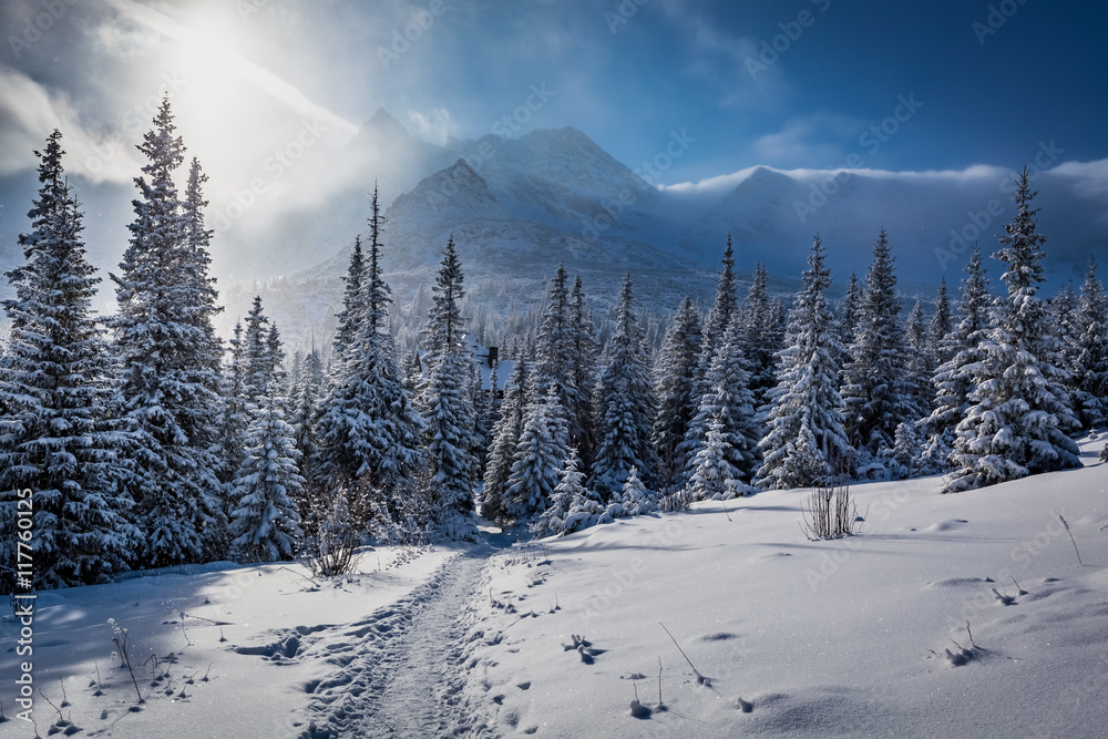 Naklejka premium Enjoy your winter journey in Tatras Mountains, Poland