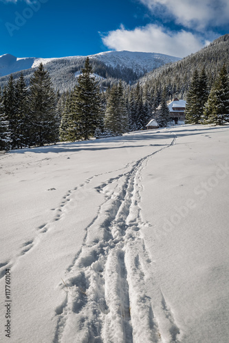 Footpath leading to the mountain shelter in the winter, Tatra Mountains, Poland