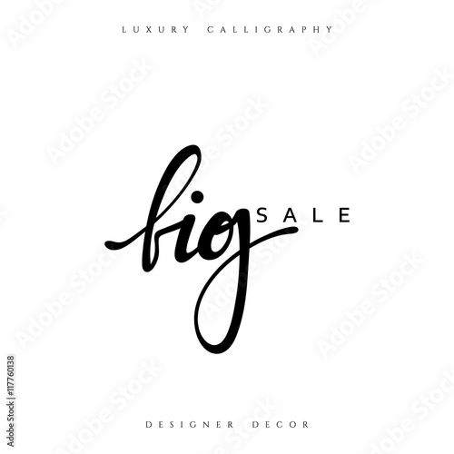 Big Sale offer text calligraphy written by hand. luxury fashion design decor