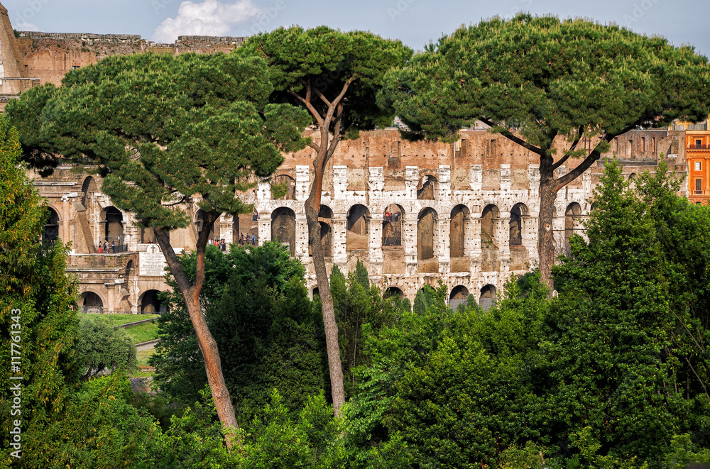 Obraz premium Colosseum in Rome, Italy