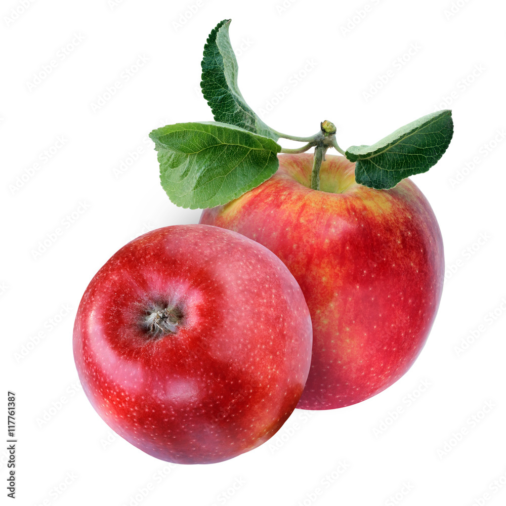 Two red glossy Apple isolated on white background.
