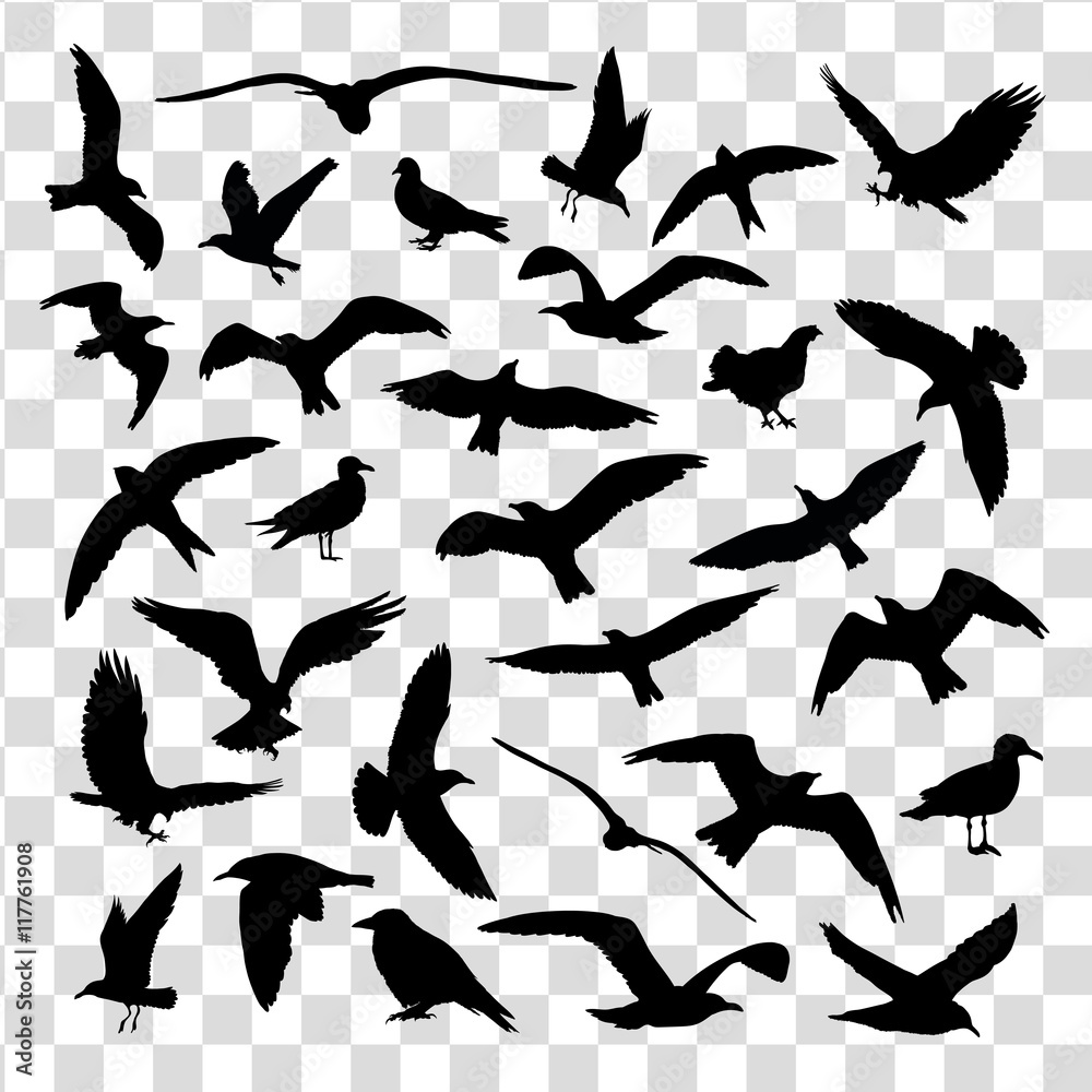 Fototapeta premium Set of birds silhouettes 30 in 1 isolated. Vector illustration
