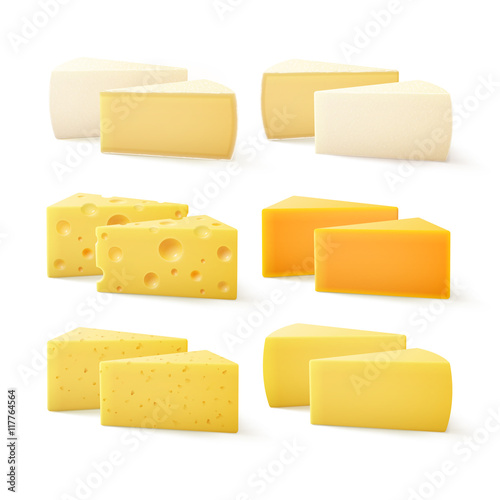 Vector Set of Triangular Pieces of Various Kind of Cheese Swiss Cheddar Bri Parmesan Camembert Close up Isolated on White Background
