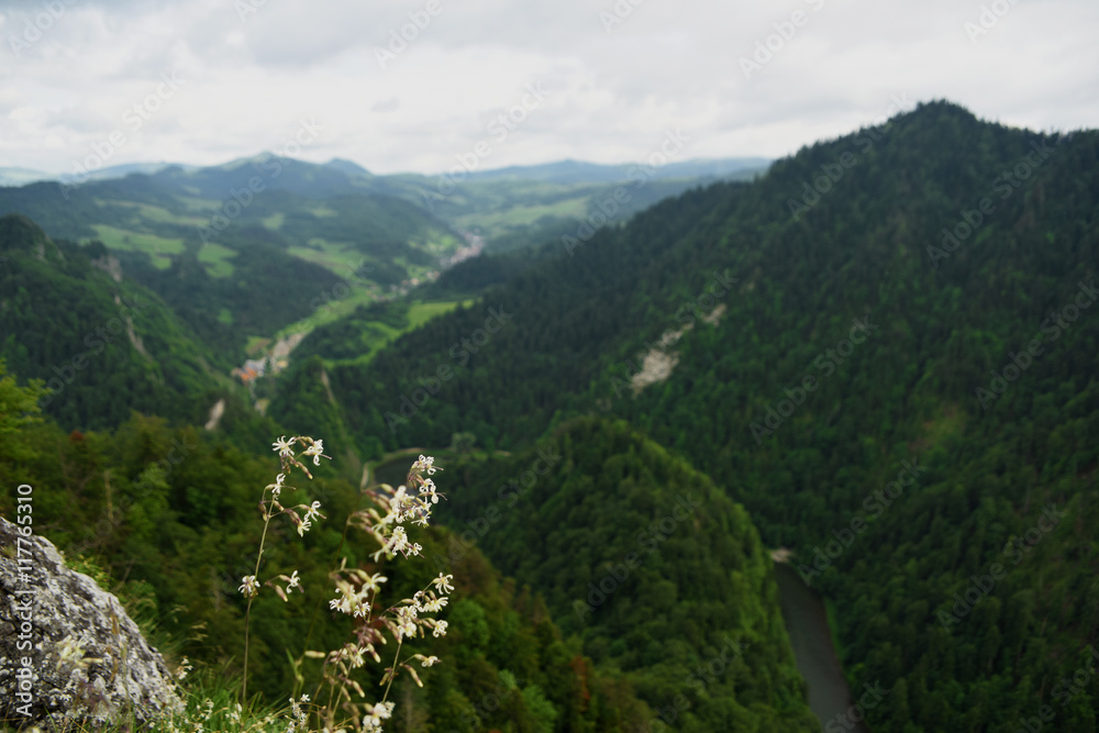 Pieniny national park and mountains