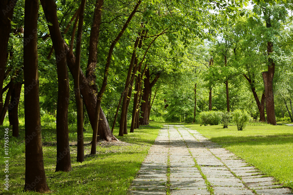 Walkway in summer park