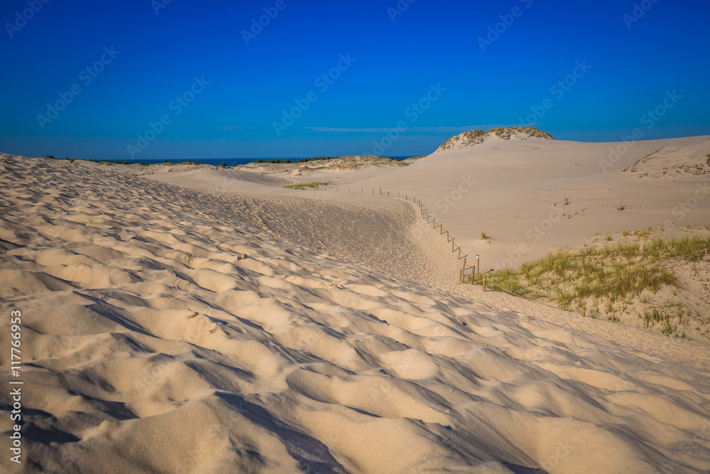 The dunes of the Slowinski national park in Poland