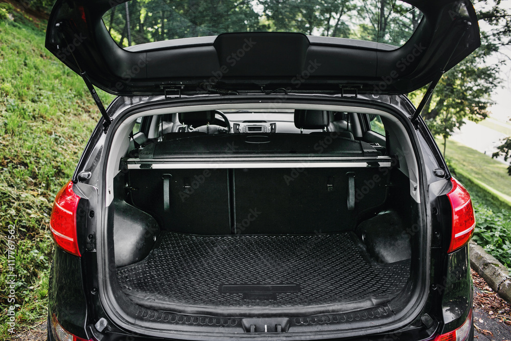© malkovkosta - clean empty trunk of black hatchback in a forest
