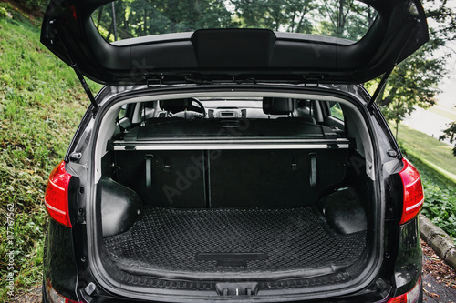 Canvas Print clean empty trunk of black hatchback in a forest