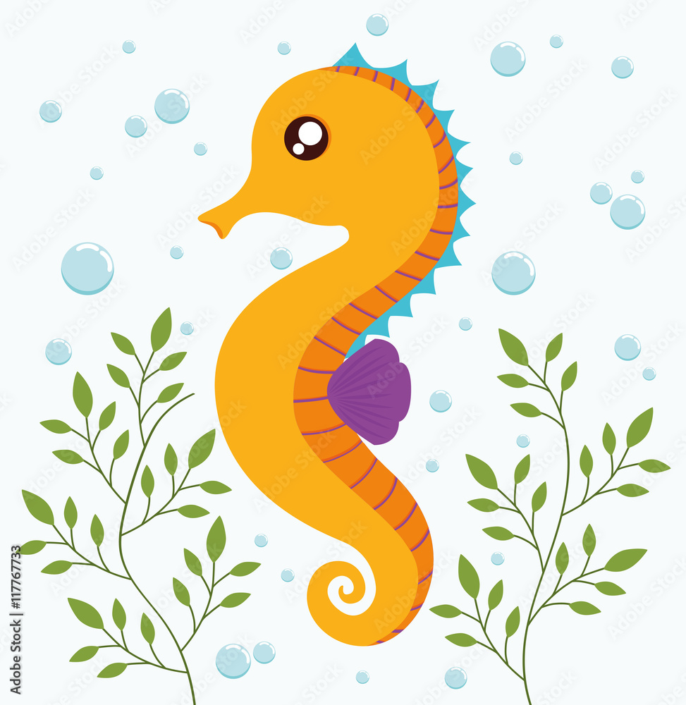 Obraz premium Sea animal cartoon design represented by sea horse icon. Colorfull and flat illustration. 