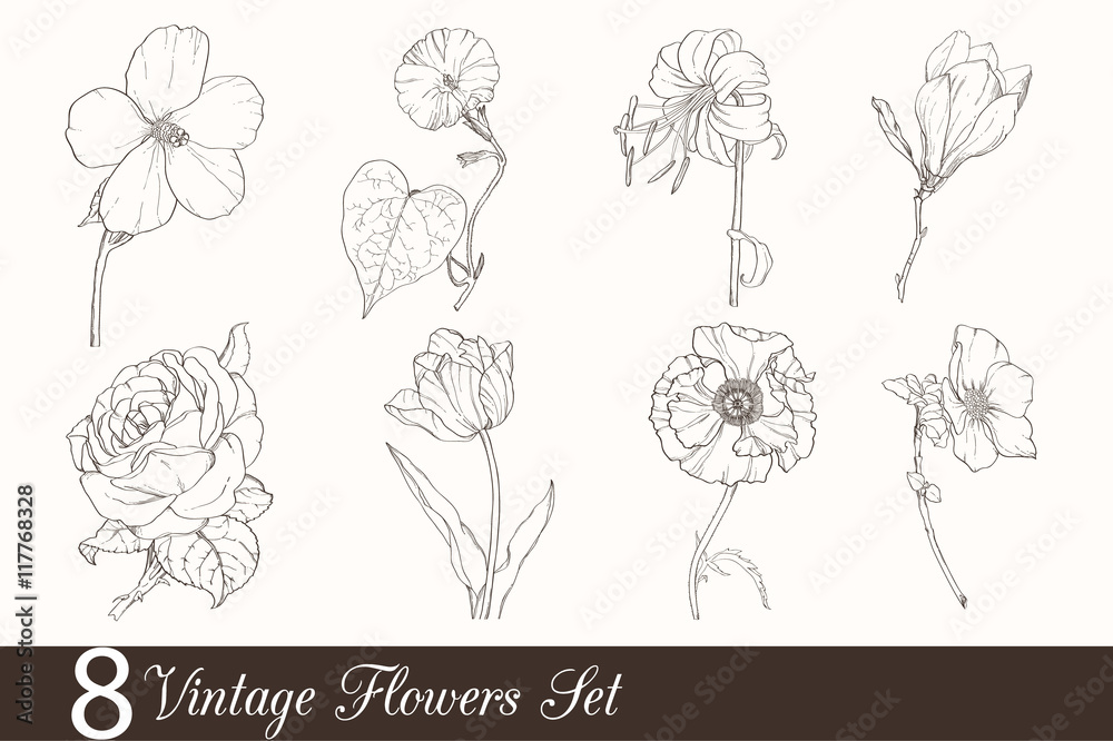 Naklejka premium Vector Set of 8 Vintage Drawing Flowers With Tulip, Poppy, Iris, Rose, Magnolia, In Classic Retro Style.