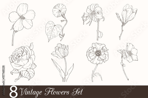 Vector Set of 8 Vintage Drawing Flowers With Tulip, Poppy, Iris, Rose, Magnolia, In Classic Retro Style.