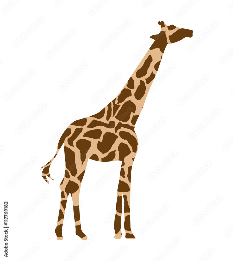 Obraz premium giraffe african isolated icon