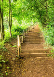 Wald Fussweg Treppe Stufen