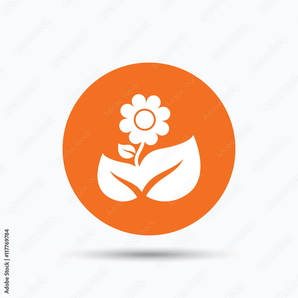 Flower icon. Florist plant with leaf sign. Flower icon. Florist plant with leaf sign.