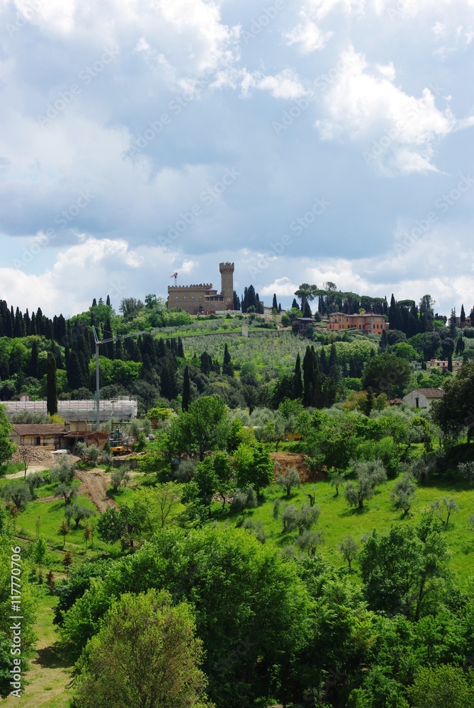 Fototapeta premium Florence - hill with castle