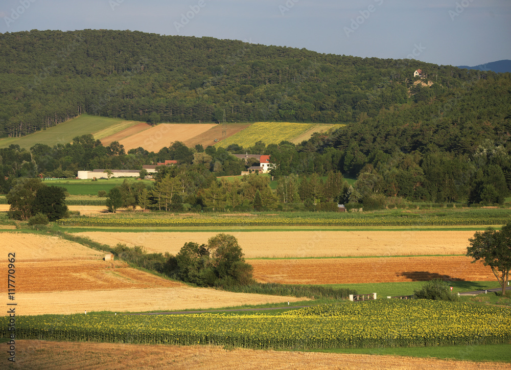Fields near small village Maiersdorf