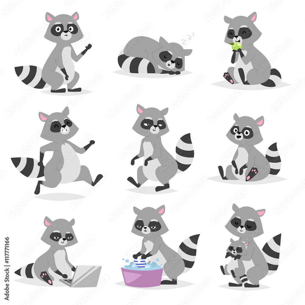 Obraz premium Cartoon raccoon vector illustration.