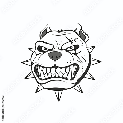Vector illustration angry pitbull, on a white background