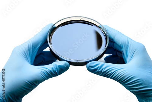 Laboratory worker wearing blue rubber gloves holding a sample of liquid bitumen in a Petri dish, isolated on white