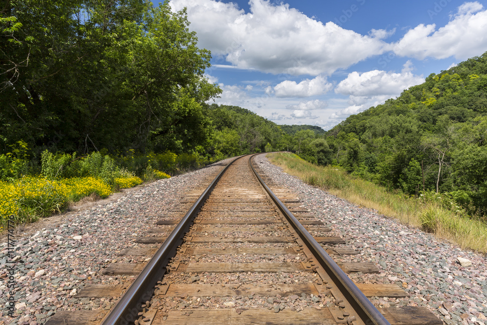 Railroad Track Scenic