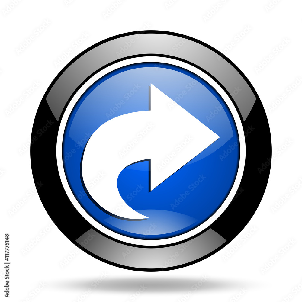 next blue glossy icon next blue glossy icon