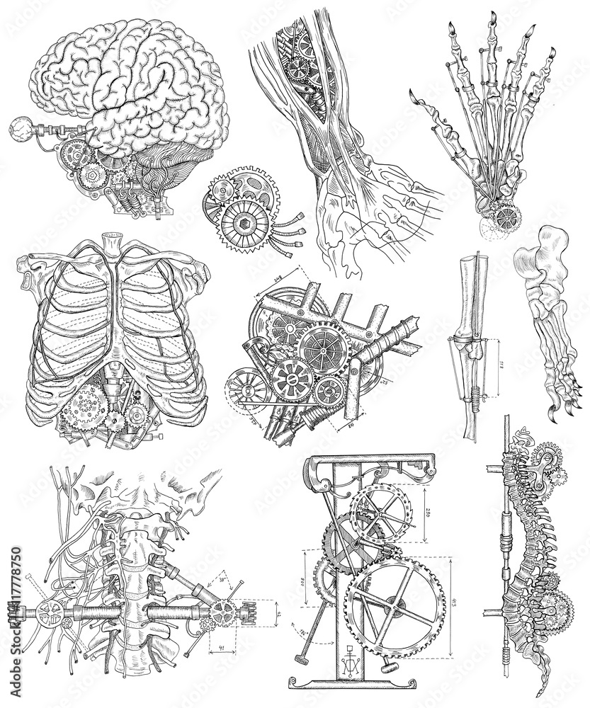 Black and white set with body parts, mechanical parts and devices Stock ...