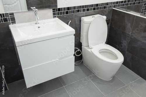 toilet and bathroom in modern style photo