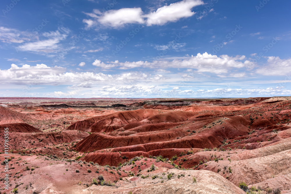 Tiponi Point - Petrified Forest National Park