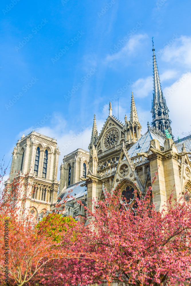 Obraz premium Notre Dame, Paris.