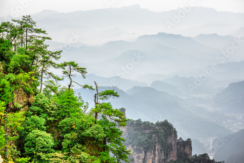 Photography Wonderful view of trees growing on top of rock, Avatar Mountains